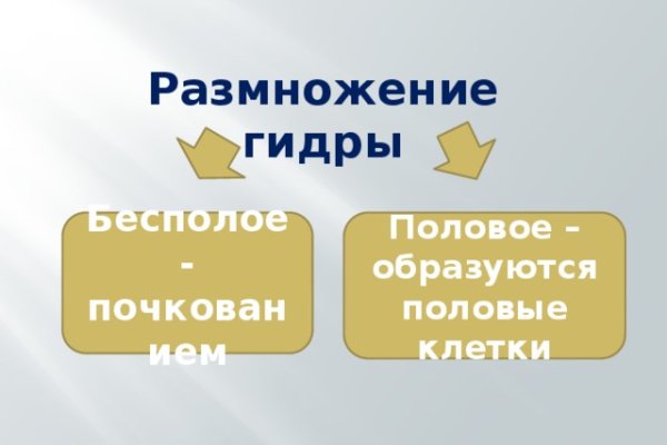 Настоящий сайт kraken